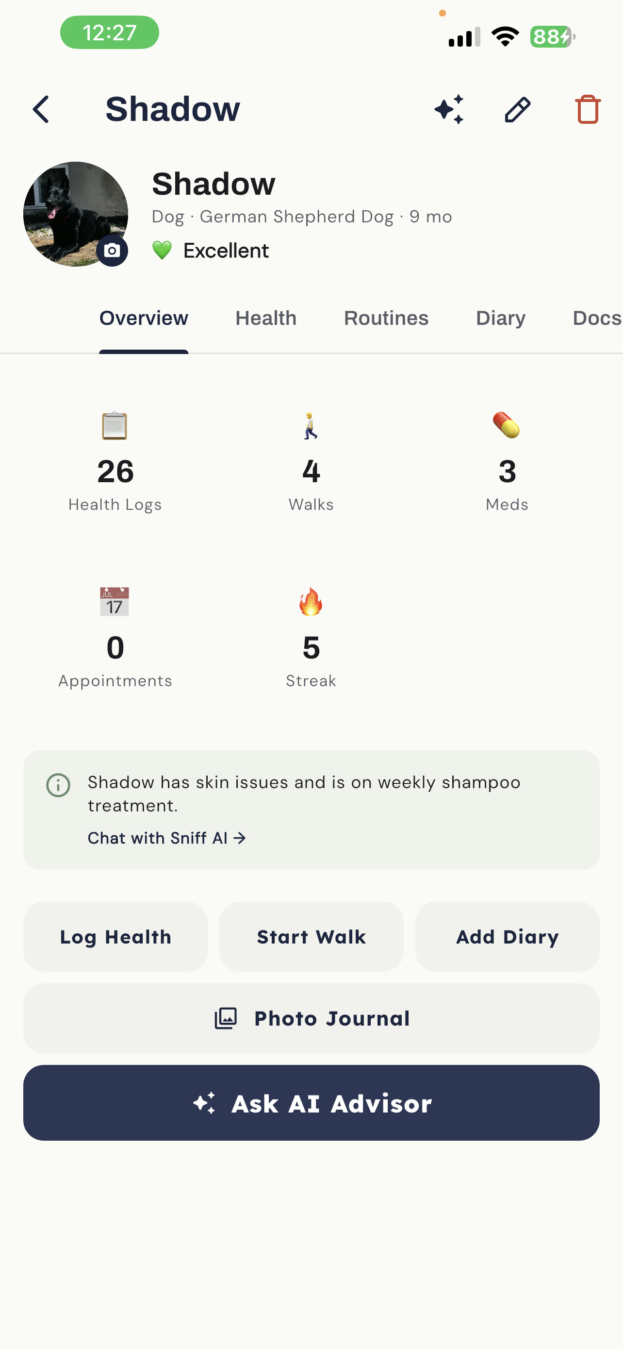 Pet profile showing health logs, walks, meds, appointments, and a streak counter